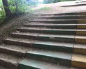 прошу произвести уборку лестницы в парк Победы Аэродромная 98.Так же необходимо произвести работы по восстановлению первых двух ступеней этой лестницы у дороги,так как на данном участке регулярно получают травмы дети и пожелтел люди.Эти ступени засыпаны.