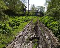 Дороги по деревне Горлово Кашинского района вообще нет, можно проехать только или в сильную засуху или в мороз, когда трактор прочистит дорогу. В зависимости от погоды и пешком можно пройти только в резиновых сапогах!