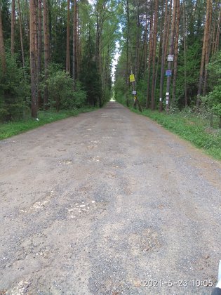 None, Богородский городской округ