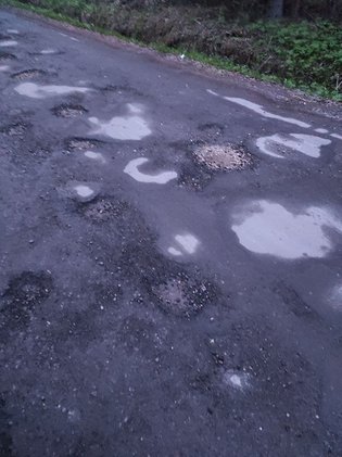 None, деревня Плесенское