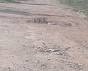 Ужасная дорога!!! Не возможно ехать!!!!!!!!