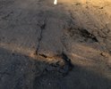проезжая часть не соответствует ГОСТ-Р 50597-2017. Данные нарушения представляют
опасность для участников движения и могут привести к дорожнотранспортным
происшествиям и аварийной ситуации.