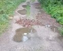 В центре деревни Рябцево нет нормальной дороги! После небольшого дождя, сразу образовывается грязевая "каша" на дороге!
