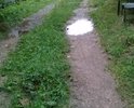 В центре деревни Рябцево нет нормальной дороги! После небольшого дождя, сразу образовывается грязевая "каша" на дороге!