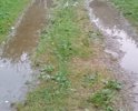 В центре деревни Рябцево нет нормальной дороги! После небольшого дождя, сразу образовывается грязевая "каша" на дороге!