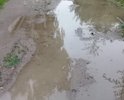 В центре деревни Рябцево нет нормальной дороги! После небольшого дождя, сразу образовывается грязевая "каша" на дороге!
