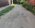 В деревне Калиновке на улице Каштановая очень сильно повреждена дорога. Ремонт дороги не производился уже более 10 лет.