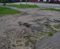 Этот участок никогда не ремонтировался, отсутствует асфальт. На участке камни, неровности, куски асфальта, оставленные при недавнем ремонте Московской ул. 

Просим, никакого песка и асфальтной крошки. Никаких временных мер. Организуйте укладку асфальта, все-таки это переход с оживленной улицы во дворы к 9 многоквартирным домам, по этой дороге дети ходят в 1 школу со всего района, в скором времени люди станут переходить дорогу через этот участок к новому ТЦ на Московской, 30 и проходимость еще больше возрастет.

Просим, не оставляйте пустот без асфальта, соедините полностью проезжую часть, асфальт у м. "Мирастрой", тротуар (виден на фото) и переход во двор к подъездам Московской, 11.