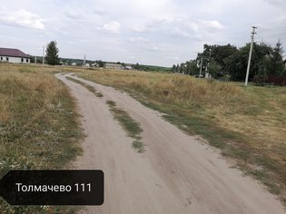 None, деревня Толмачёво, 119