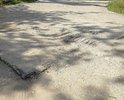 Металлические стержни торчат из плит уже более 30 лет прямо у входа в индустриальный техникум.  Все это время плиты рассыпаются, оголяя металлические стержни и эпизодическое срезание арматуры не решает проблему. Плиты находятся на дороге внутри оживленного микрорайона, по которой ходят все от пенсионеров до учащихся 1 школы и студентов техникума. На моей памяти здесь многократно получали травмы или переломы. Просим наконец-то решить проблему глобально, убрать эти плиты и организовать укладку асфальтового покрытия, хотя бы потому что эта опасная зона находятся прямо перед входом в учебное заведение.