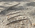 Металлические стержни торчат из плит уже более 30 лет прямо у входа в индустриальный техникум.  Все это время плиты рассыпаются, оголяя металлические стержни и эпизодическое срезание арматуры не решает проблему. Плиты находятся на дороге внутри оживленного микрорайона, по которой ходят все от пенсионеров до учащихся 1 школы и студентов техникума. На моей памяти здесь многократно получали травмы или переломы. Просим наконец-то решить проблему глобально, убрать эти плиты и организовать укладку асфальтового покрытия, хотя бы потому что эта опасная зона находятся прямо перед входом в учебное заведение.