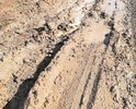 В г.Белебей по улице Фрунзе меняли водопровод,дорогу не привели в порядок,на фотографиях эта дорога после небольшого дождичка.По улице невозможно ни ходить,ни ездить.Согласно п.3.1.1 ГОСТ Р 50597-93 «Автомобильные дороги и улицы, требования к эксплуатационному состоянию, допустимому по условиям обеспечения безопасности дорожного движения» покрытие проезжей части не должно иметь просадок, выбоин, иных повреждений, затрудняющих движение транспортных средств с разрешенной Правилами дорожного движения скоростью.