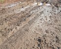 В г.Белебей по улице Фрунзе меняли водопровод,дорогу не привели в порядок,на фотографиях эта дорога после небольшого дождичка.По улице невозможно ни ходить,ни ездить.Согласно п.3.1.1 ГОСТ Р 50597-93 «Автомобильные дороги и улицы, требования к эксплуатационному состоянию, допустимому по условиям обеспечения безопасности дорожного движения» покрытие проезжей части не должно иметь просадок, выбоин, иных повреждений, затрудняющих движение транспортных средств с разрешенной Правилами дорожного движения скоростью.