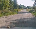 Дорожное полотно от п. Зарубино до деревень Смольники, Бабчино и Покровское, полностью разбито и находится в аварийном состоянии, представляет угрозу здоровья для участников дорожного движения.