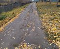 Дороги не было никогда. После дождей пройти нельзя, проехать тоже.