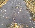 Дороги не было никогда. После дождей пройти нельзя, проехать тоже.