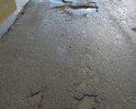 Дорога с бетонным покрытием на Песчаную балку, в силу плохого состояния, эксплуатация которой должна быть запрещена (см. ниже из ответа администрации г. Феодосии).
Просим администрацию г. Феодосии установить 2 остановочных пункта (автобусные остановки) на съезде с дороги 35 ОП Р3 35А-001 Феодосия – Керчь на Песчаную балку по бетонке, сделать ямочный ремонт дороги на Песчаную балку. Кроме того, принять на баланс эту дорогу и внести ее в перечни улиц пгт Приморский и в соответствующие программы по улучшению автобусного обслуживания и содержания автомобильных дорог.
Правление ТСН Парус обратилось в администрацию муниципального образования г. Феодосия о создании муниципального автобусного маршрута регулярного сообщения между ТСН Парус и пгт Приморский (длина заезда по дороге на песчаную балку около 2 км) и внесении его в Реестр муниципальных автобусных маршрутов регулярного сообщения на территории муниципального образования г. Феодосия. В ответе администрация г. Феодосии предлагает пользоваться автобусом, который движется по автомобильной дороге 35 ОП Р3 35А-001 Феодосия – Керчь, на которой возле съезда на ТСН Парус по Песчаной балке не установлены автобусные остановки - остановочные пункты. Кроме того, в ответе нам сообщили, что Бетонка не стоит на балансе муниципалитета. ТСН Парус направил второе письмо с просьбой разместить остановочные пункты и взять Бетонку на баланс. Получили ответ о направлении письма ГУП РК «Служба автомобильных дорог Республики Крым» в целях оказания содействия по вопросу оборудования остановочных пунктов для проезда членов ТСН «Парус», кроме того, нам сообщили, что транспортно-эксплуатационное состояние участка автомобильной дороги от автомобильной дороги общего пользования регионального значения 35 ОП Р3 35А-001Феодосия – Керчь до СНТ "Нептун" (ниже ТСН Парус) не соответствует требованиям технических регламентов и установленным требованиям ГОСТ РФ в части обеспечения безопасности дорожного движения, а эксплуатация подвижного состава по дорогам, транспортно-эксплуатационное состояние которых не соответствует требованиям технических регламентов и установленным требованиям ГОСТ РФ, запрещена. Приведены прямые выдержки из писем. В летнее время по бетонке на Песчаную Балку (пляж на берегу Черного моря) едут сотни легковых и грузовых автомобилей и идут сотни людей (тротуар, в том числе велосипедные дорожки отсутствуют).