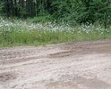 Часть 3. Дорога в деревню Соболиха грунтовая. Старые мостики деревянные сверху засыпаны грунтом промоины большие необходим ремонт мостиков, грунт песок и суглинок частично гравий. То есть необходимо укласть бетонными плитами так как там часто ходит гусеничная техника или асфальтом. Не делалась давно. Грейдируется иногда. Знаки не все. Необходима ливневка. Так как идет через утес. Необходимо отремотировать сам Утес так как он яволяется лицевой частью выходящей на Байкальскую Гавань туристско-рекреационная зона отдыха. Я мы, ухабы после дождей разбивается полностью так ходят грузовые авто и лесовозы. Подушку дороги необходимо полностью отсыпать новое разбито и выгрейдировано почти до основания. Покрытия нет вообще. в 2022 году размывалась наводнениями.В деревне Соболиха дорога без покрытия грунт покрытия нет вообще. Ямы, рытвины, ухабы. Знаки необходимы.