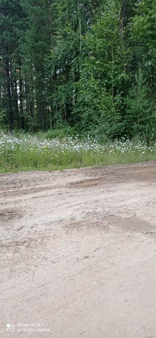 None, Прибайкальский район