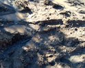 Сквозной проулок Нагорный необходима ливневка. Грунт размывается каждый год. Грунт песок, супесь и суглинок. Уклон примерно 40 градусов. Покрытия не было никогда. Уместно уложить бетонными плитами так как ходит гусеничная техника. Знаки не все. Уступи дорогу необходимы. Ливневка необходима до главный улицы пересекающейся с региональной трассой. Средств в местном бюджете не хватает. Спальная улица выходит к магазинам, адмнистрации и аптеке. Есть гостевые домики для туристов. Без ливневки улицу размывает каждый год рытвины до 1 метра глубиной получаются. Не делалась никогда.