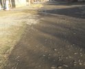 В Республике Ингушетия, г. Сунжа на переулке Строительный отсутствует асфальтное покрытие со дня основания данной улицы (более 30 лет назад!). Просим постелить асфальт.