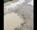 Дорога вся в ямах, после дождя большие лужи. В районе школы №11 г. Феодосия, пгт. Приморский и гаражных кооперативов «Космос - Прим» и «Прибой».