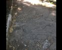 Дорога вокруг дома ул. Набережная 6 в пгт. Приморский в очень плохом состоянии. По ней ездит Скорая. А со двора ещё хуже, заложена кирпичами, перекопана водоканалом.