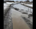По этому участку дороги нормально можно пройти только летом в сухую погоду. Осенью, весной и летом в дождь лужи на всю дорогу, грязь и ямы, зимой дорога узкая. Тротуары отсутствуют, детям в школу и взрослым ходить не безопасно. Новые дома построили, следом большой частный сектор, а дороги нормальной нет. Хотя пару лет назад, когда укладывали асфальт и делали тротуар по ул.Колногорова (от ул.Розы Люксембург до ул.Толмачева), в планах было до конца улицы Колногорова асфальт положить и сделать тротуар. Но до сих пор ничего не сделано.