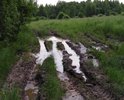 проблема заключается в том , дороги до дер. Клетинка нет не для пешеходов, не для машин. Вся разбита. Власти Калязина не как не реагируют на наши просьбы, помочь востановить дорогу от деревни до трассы.