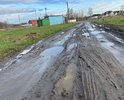 Дорогая по ул. Кирпичная не соответствует градостроительному плану, дорога проходит по прилегающей территории участков. Грунт на дороге мягкий. Весной по дороге нельзя проехать, образуются глубокие ямы, в грязи машины застревают. Летом, после того как проходит грейдер, за проезжающими автомобилями стоит столб 
 пыли. Летом и осенью по дороге можно проехать, но из-за мягкости грунта дорогу размывает после дождя.