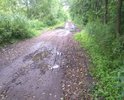 прямая проселочная дорога соеденяющая Орехово-Зуево населенные пункты д.Кудыкино,д.Новая,д.Гора, д.Высоково, д.Сальково, ряд СНТ длинной примерно 5-6 км. При  СССР активно использовалась о чем говорит мост через реку Черная, сейчас оказалась безхозная (ответ администрации города). Участок дороги примерно 200 метров между заездом ул. Ольтовская-Озерная - мостом через р. Черная и далее разбит, что не позволяет использовать всю дорогу. Ремонт всей дороги до выезда к деревне Гора позволит получить хороший экономический эффект и альтернативный короткий маршрут к этим населенным пунктам , выход автотранспорту на блокпост Централный РЖД со стороны Орехово-Зуево. По существующим дорогам расстояние до этих нас.пунктов 15-20 км