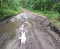прямая проселочная дорога соеденяющая Орехово-Зуево населенные пункты д.Кудыкино,д.Новая,д.Гора, д.Высоково, д.Сальково, ряд СНТ длинной примерно 5-6 км. При  СССР активно использовалась о чем говорит мост через реку Черная, сейчас оказалась безхозная (ответ администрации города). Участок дороги примерно 200 метров между заездом ул. Ольтовская-Озерная - мостом через р. Черная и далее разбит, что не позволяет использовать всю дорогу. Ремонт всей дороги до выезда к деревне Гора позволит получить хороший экономический эффект и альтернативный короткий маршрут к этим населенным пунктам , выход автотранспорту на блокпост Централный РЖД со стороны Орехово-Зуево. По существующим дорогам расстояние до этих нас.пунктов 15-20 км