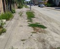 По улице Будёного, в Сальске, центр города, расположены магазины. обувная фабрика .обратите пожалуйста внимание на дорожку для пешеходов. она вся в ямах. там не реально пройти без того, чтобы не споткнуться. Я лично не смогла по ней пройти, споткнулась, подвернула ногу, сейчас дома с опухшей ногой. Это разве нормально, для центра районного города. Люди ходят по дороге, нарушая движение транспорта. потому что дорожка нуждается в ремонте уже очень давно. Обратите пожалуйста внимание!!!