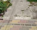 По улице Будёного, в Сальске, центр города, расположены магазины. обувная фабрика .обратите пожалуйста внимание на дорожку для пешеходов. она вся в ямах. там не реально пройти без того, чтобы не споткнуться. Я лично не смогла по ней пройти, споткнулась, подвернула ногу, сейчас дома с опухшей ногой. Это разве нормально, для центра районного города. Люди ходят по дороге, нарушая движение транспорта. потому что дорожка нуждается в ремонте уже очень давно. Обратите пожалуйста внимание!!!