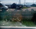 Данный участок очень опасен для организации дорожного движения. Со стороны ГИБДД Района идет главная дорога в сторону улицы Патрахина. Поворот составляет 90 градусов. Сложный перекресток пешеходные переходы обозначены знаками но отсутствуют велодорожки и пешеходная зона на них. Обочина проходит вдоль старых земляных канав в сельской местности. Ширина позволяет добавить 0,75 метра пешеходной зоны как на сквозном проезде и 1 метр велодорожки. Выезд с прилегающих гаражей  с базы стоящей за ГАИ перекрыт низкой видимостью знаков и машин и пешеходов. Обзор полностью закрывает здание для вахтеров и здание ГАИ а так же деревянные заборы. Необходима перепланировка выезда с базы в другое место. Сейчас свободное пространство на базе позволяет это сделать. Для детей рядом нет свободной детской площадки играют прямо на улице создавая опасность для дорожного движения. Угловые моменты на поворотах составляют 90 градусов. ПРи выезде с базы дорога с левой стороны не просматривается. ПО дороге от ГАИ на улицу Лазо так же идет старая канава полузасыпанная и нет велодорожки и пешеходной зоны. А движение в этом месте интенсивное. Необходимо запланировать весь комплекс мероприятий указанный мною и провести комплексную работу с главой поселения, дорожным фондом и архитектурным бюро Района. Все предложенные меры должны будут снизить аварийность данного участка впоследствии.Покрытие асфальтовое. Поворот находится под уклоном примерно 14 градусов в зимнее время гололед сильно осложняет обстановку. Особенно если нет подсыпки. В летний период в ночное время. Администрация поставила фонарь но он обеспечивает освещение только внутреннего угла опасного поворота. Выезд с базы остается в темноте и не попадает в зону освещения. Перенос выезда с базы необходим. Время существования этой проблемы с 1980 года.Отсутствует так же отстойник под накопление стоков дорожных необходимы трубы ( пропускаются под велодорожкой) с промежуточными колодцами для чистки.