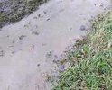 ГОСУСЛУГИ Сообщение гражданина
Проще, чем кажется 183778461
2. Сообщение
Регион
Республика Бурятия
Категория сообщения
Автомобильные дороги
Подкатегория сообщения
Ямы, выбоины
Место нахождения объекта, связанного с сообщением
Прибайкальский район, село Турунтаево, микрорайон Полевой
Суть проблемы или предложения
мкр. Полевой с. Турунтаево. Прилагаю карту участка требующего
доотсыпки примерно необходимо 2 машины ПГС. Так как грунт в этом
месте пучинистый и быстро разбивается в дожди. Так же можно
отсыпать например сырьем для отсыпки дорог из золошлаковых
фракций имеющих сходную характеристику с песком ( потребуется 4
машины). Письмо от Природоохранной прокуратуры могу выслать. Не
запрещено. Прилагаю фото. Прошу в случае наличия средств отсыпать в
2024 году и выровнять. Участок по мкр Полевому в примыкании к
Новостройкам отсыпан золошлаковым сырьем перед бугром ( участок
256). Участок уже после отсыпки в 2019 году разбит ( временный участок).
Связанные сообщения
3. Организация-исполнитель сообщения
Организация, в которую направлено сообщение
АДМИНИСТРАЦИЯ ГЛАВЫ РЕСПУБЛИКИ БУРЯТИЯ И
ПРАВИТЕЛЬСТВА РЕСПУБЛИКИ БУРЯТИЯ
4. Дополнительные данные
5. Файлы, приложенные к сообщению
2023-09-07_06-44-40.png, IMG_20230904_094855.jpg, 2023-09-07_06-53-
13.png