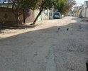 Дорога просто отсутствует, в средний дождь пройти не представляется возможность, для мам с колясками настоящая беда и испытание, не знаешь чем закончится поход в магазин(. Фото на 100% не передаёт суть проблемы, желательно побывать на этой улице чтобы ощутить и насладиться прогулкой, а лучше в дождь)