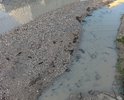 Дорога просто отсутствует, в средний дождь пройти не представляется возможность, для мам с колясками настоящая беда и испытание, не знаешь чем закончится поход в магазин(. Фото на 100% не передаёт суть проблемы, желательно побывать на этой улице чтобы ощутить и насладиться прогулкой, а лучше в дождь)