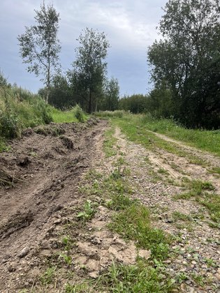 None, деревня Комлево