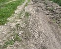 Добрый день, это единственная дорога к жилым домам. Дорога в основном летняя, в межсезонье проехать практически невозможно. В прошлом году был пожар, машина не проехала.