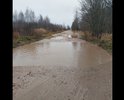 Автодорога в аварийном состоянии. В Тверской области, Ржевском районе полностью разрушена автодорога соединяющая следующие деревни: Гришино - Бурмусово - Грешниково - Зарубино - Санталово - Муравьево. Ямы на дороге достигают глубины более 50 см и шириной более 5-6 м (во всю ширину дороги), что делает невозможным проезд автотранспорта и пешеходам невозможно пройти. Местные органы власти ежегодно на протяжении 20 лет обещают решить проблему, но ничего не предпринимается. Обратилась в областное правительство, но мне ответили, что денег на плановый ремонт дорог в бюджете нет. Но речь идет уже не о плановом ремонте, а об аварианом и незамедлительном, т.к. дорога создает угрозу жизни жителям местных деревень, в связи с чем просим вас помочь в решении проблемы по приведению ее в надлежащее состояние.