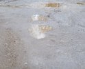 Обращаюсь к вам с важным обращением, касающимся состояния дороги во дворе по адресу г.Бежецк, ул. Большая, дом 1. Ужасное состояние дороги во дворе стало настоящей проблемой не только для водителей, но и для всех жителей этого двора. Лужи, ямы, торчащее острое железо, отсутствие асфальтного покрытия – все это лишает нас комфорта и безопасности. Проезжая по этой дороге, мы вынуждены буквально держаться за руль и преодолевать преграды. Качество дороги во дворе с каждым днем ухудшается. Необходимо принять меры и восстановить нормальное состояние дороги, чтобы мы могли спокойно выйти из дома и безопасно вернуться.
Мы обращаемся к городским властям, а также к управляющей компании, просим вас внимательно рассмотреть нашу проблему. Мы призываем вас предпринять необходимые меры для капитального ремонта дороги во дворе по адресу ул. Большая, дом 1. Мы считаем, что безупречно исправное состояние дорог – залог комфортной и безопасной жизни всех граждан.
