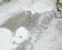 В 2024 году планируется ремонт покрытия дорожного полотна на улице Маратовской в пгт Гаспра (г. Ялта, РК). Прошу сообщить о сроках проведения работ, а также включить в список участков, подлежащих ремонту отрезок, прилегающий к улице Маратовской, начиная от съезда с улицы Маратовской в районе дома № 16 и № 18 в сторону домов № 16 Б, № 16 Д,  № 16 М,  № 16 Л (здесь дорожное покрытие на расстоянии 200 метров отсутствует полностью, земля с ямами, в дождь превращается в болото). О соответствии требованиям ГОСТа  Р 50597-2017 "Дороги автомобильные и улицы. Требования к эксплуатационному состоянию, допустимому по условиям обеспечения безопасности дорожного движения" речи не идет вообще, а хотелось бы, все же 10 лет уже в составе России.
Далее  в направлении ЖК "Александрия" , ЖК "Морской, ЖК "Парковый" (это МКД), а также частных домовладений и строений государственного учреждения санатория "Пестово" ("Ясная поляна") дорожное  покрытие на расстоянии 200 метров имеется, но в очень плохом состоянии и требует ремонта.
Просим с учетом большого количества проживающих жителей и госструктур произвести необходимые работы по устройству дорожного полотна и ремонту, где это необходимо.
Другого пути подъезда к указанным строениям не имеется.