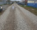 Здравствуйте. Наша улица названа в честь великого Башкирского писателя, которая образовалась в 1972 году, и с тех пор ни разу не была благоустроенна. Это была не улица, а сплошная грязь и огромные, диаметром 6 метров лужи глубиной по колено. Все эти годы жители улицы Мажита Гафури надеялись и писали в множественные государственные инстанции о проблеме бездорожья, но получали многочисленные отписки. 3 поколения жителей улицы выросли на этой улице в этой грязи которую приходилось топтать каждый день из года в год. Нам жителям пришлось обратиться в Генеральную прокуратуру РФ И Следственный комитет РФ. В 2019 году и только после обращения по улице зимой в ноябре, декабре месяце на мёрзлый грунт положили меловой щебень, после этого жители и вовсе не могут ходить по улице, так как невозможно ходить по камням безопасно. Я лично сам неоднократно спотыкался и вывихнул ногу о камни, лежащие на дороге. 6 лет жители с 2019 года, это Дети в школу, пожилые люди в магазины в город и все жители ходят по дороге, обувь портится не несколько пар за сезон. И это просто невыносимо. Просим Вас решить вопрос с Асфальтированием нашей улицы Мажита Гафури в 2024 году.