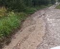 Деревня груздово подъем по горке ужасен просто после дождя всю дорогу смывает.