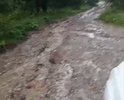 Деревня груздово подъем по горке ужасен просто после дождя всю дорогу смывает.