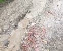 Деревня груздово подъем по горке ужасен просто после дождя всю дорогу смывает.