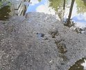 Ужасное состояние дороги, особенно после дождя. Вместо асфальта ямы глубиной больше 50 см. Домоуправление и городские власти не берутся решать проблему. Прошу помочь решить данный вопрос.