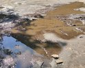 Ужасное состояние дороги, особенно после дождя. Вместо асфальта ямы глубиной больше 50 см. Домоуправление и городские власти не берутся решать проблему. Прошу помочь решить данный вопрос.