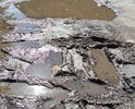 Ужасное состояние дороги, особенно после дождя. Вместо асфальта ямы глубиной больше 50 см. Домоуправление и городские власти не берутся решать проблему. Прошу помочь решить данный вопрос.
